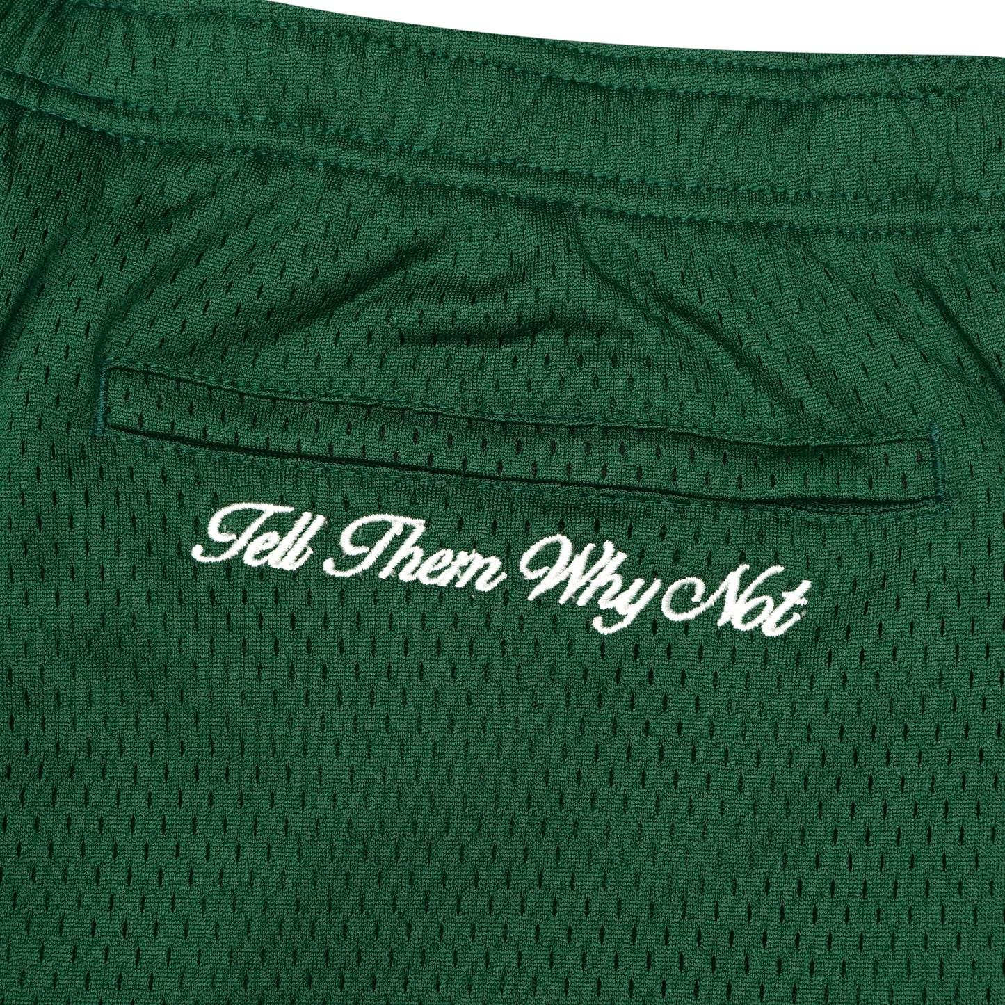 Forest green mesh stickman shorts back embroidery close-up - Tell Them Why Not