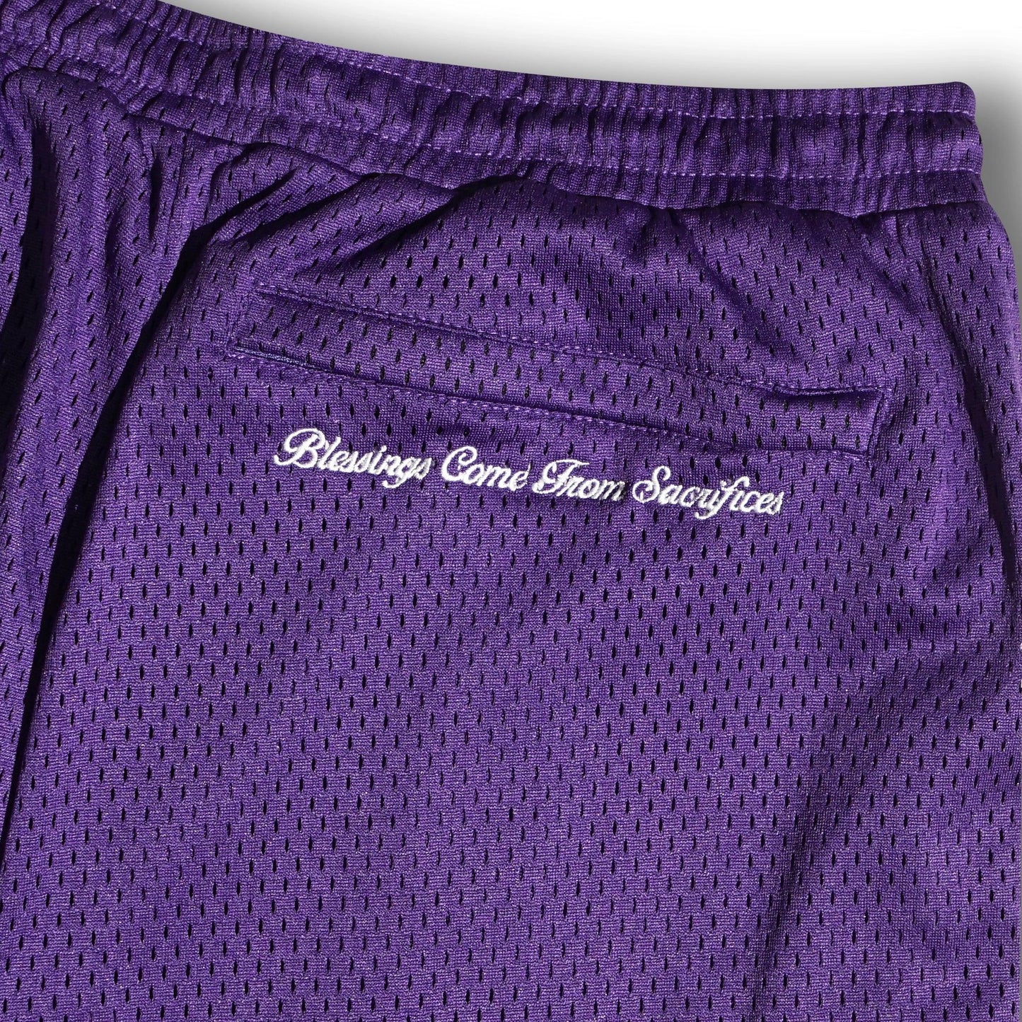 Back embroidery detail on purple mesh shorts - tell them why not