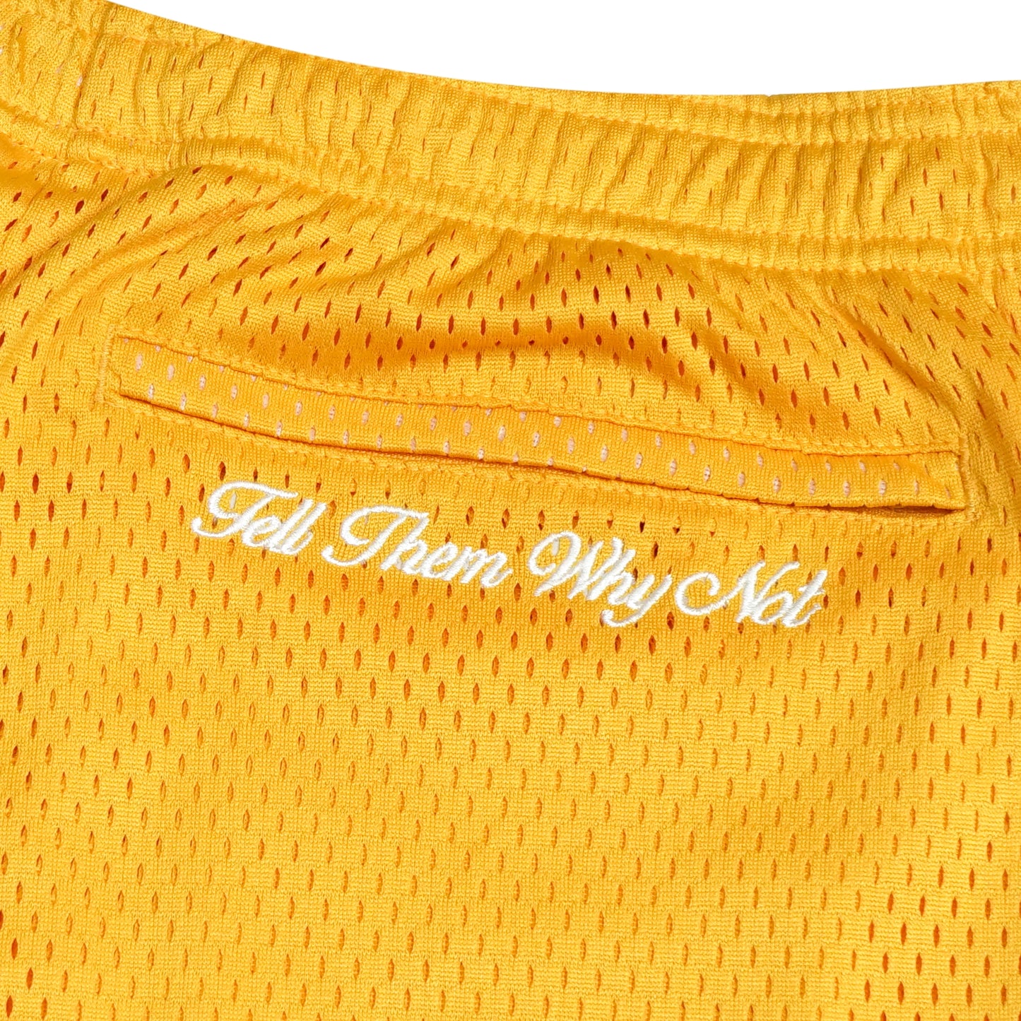 Yellow mesh stickman shorts back embroidery close-up - Tell Them Why Not