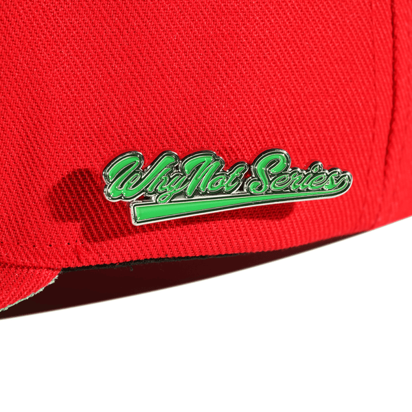 6 PANEL LOGO RED