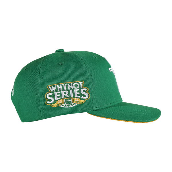 6 PANEL LOGO GREEN