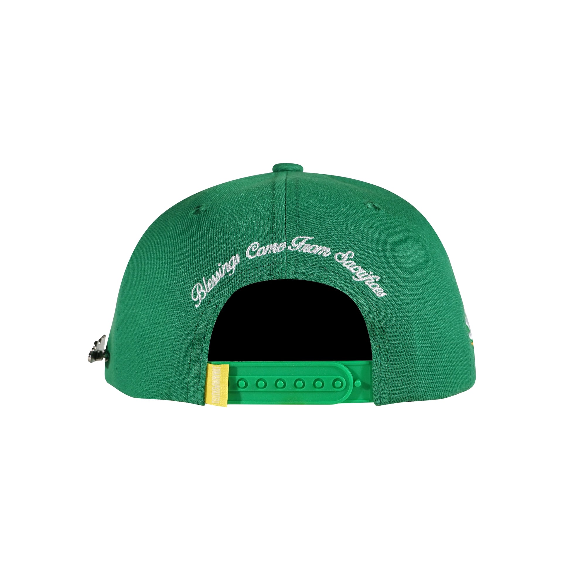 Green snapback cap with Whynot Series back view - tell them why not