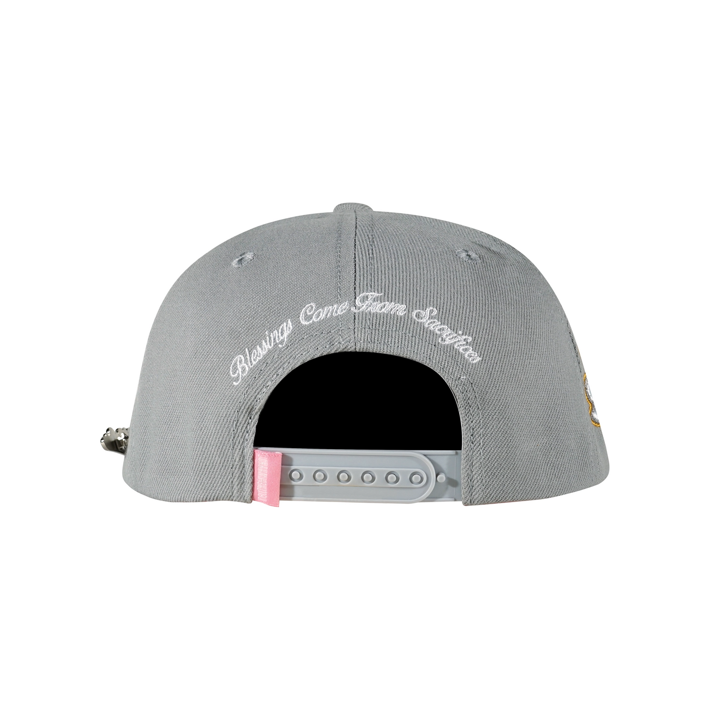 Grey snapback cap with Whynot Series back view - tell them why not