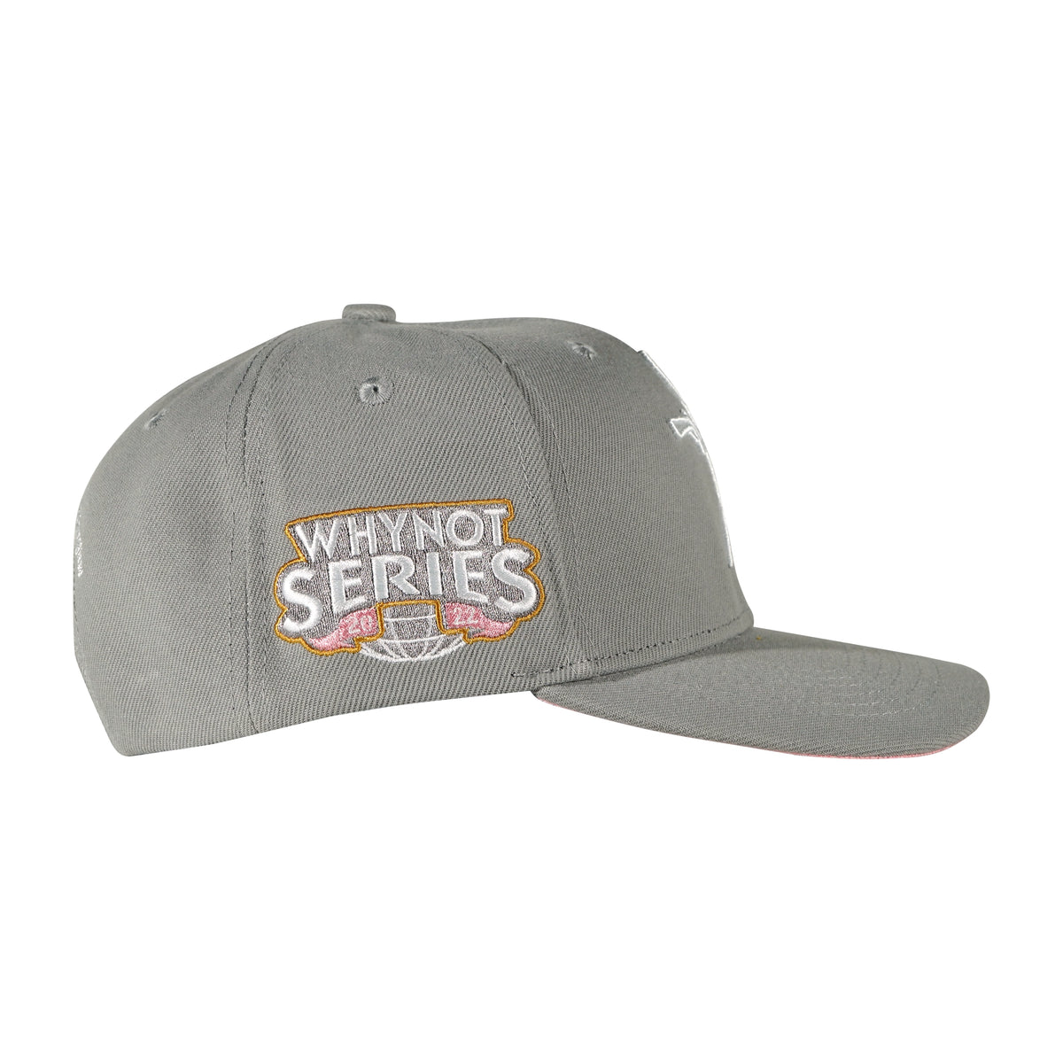 Grey snapback cap with Whynot Series right side embroidery view - tell them why not