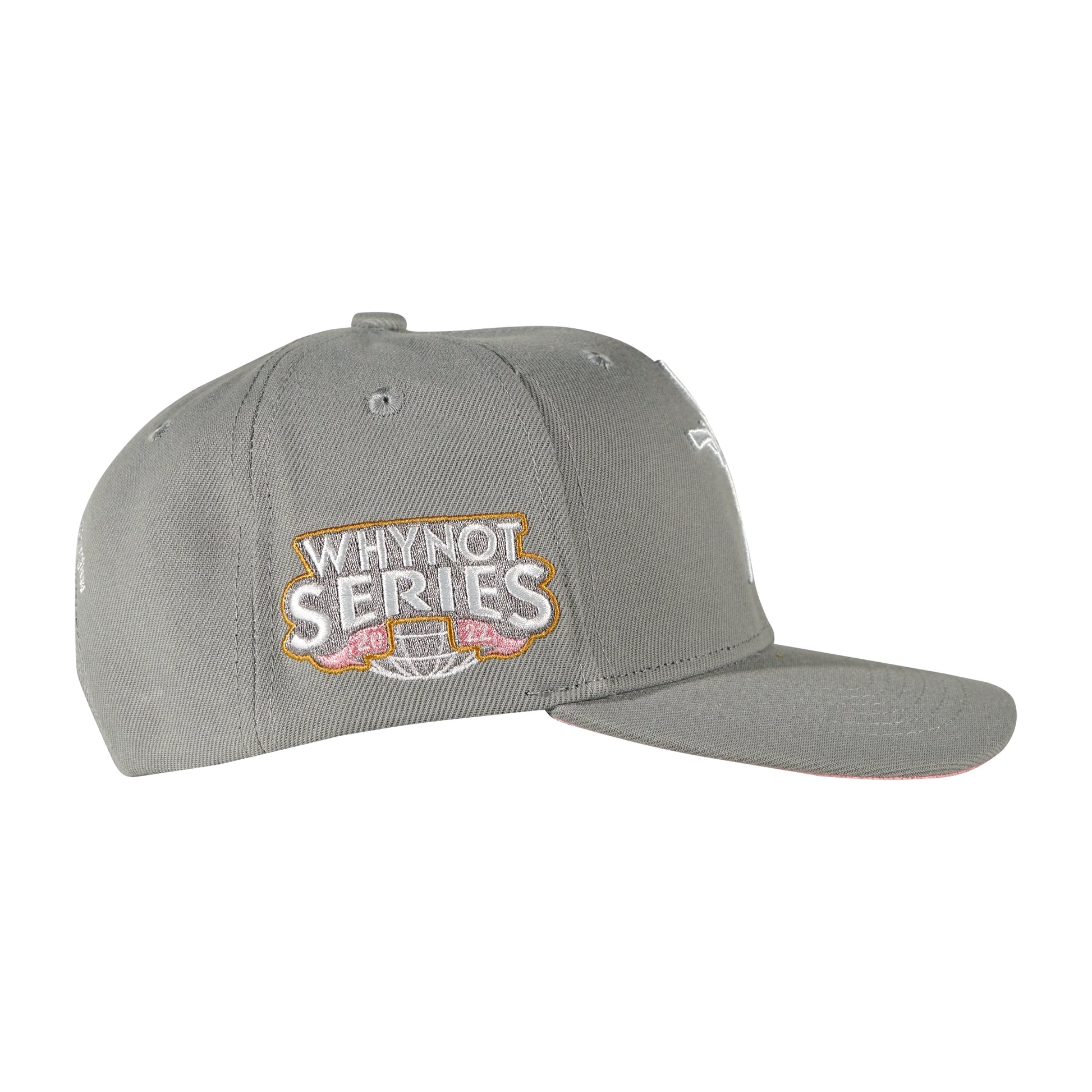 Grey snapback cap with Whynot Series right side embroidery view - tell them why not