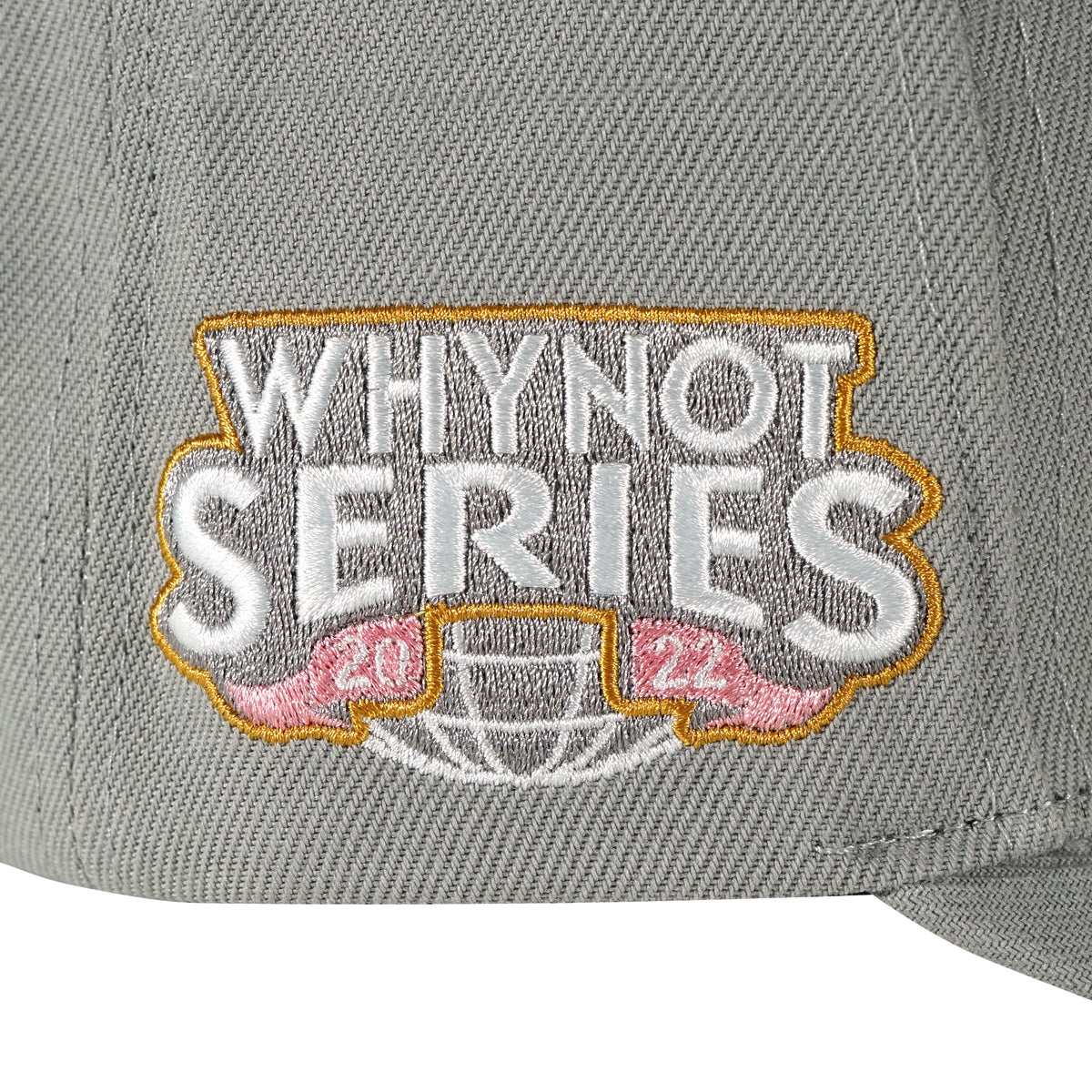 Whynot Series embroidery side detail on grey snapback cap - tell them why not