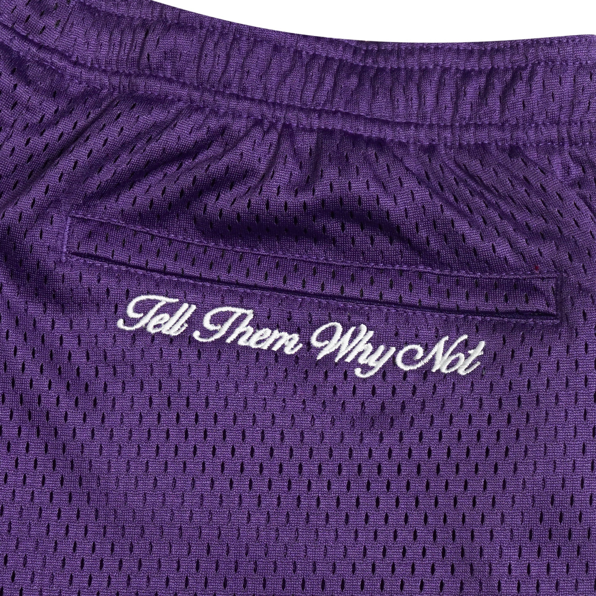 Purple mesh stickman shorts back embroidery close-up - Tell Them Why Not 