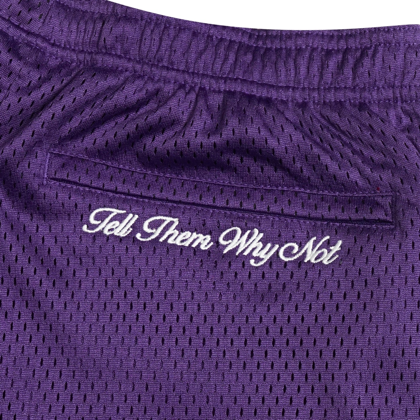 Purple mesh stickman shorts back embroidery close-up - Tell Them Why Not 