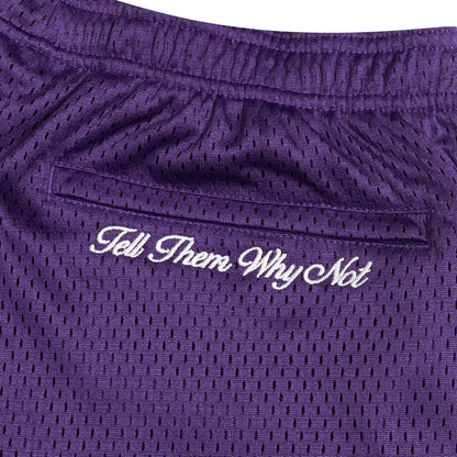 Purple mesh stickman shorts back embroidery close-up - Tell Them Why Not 