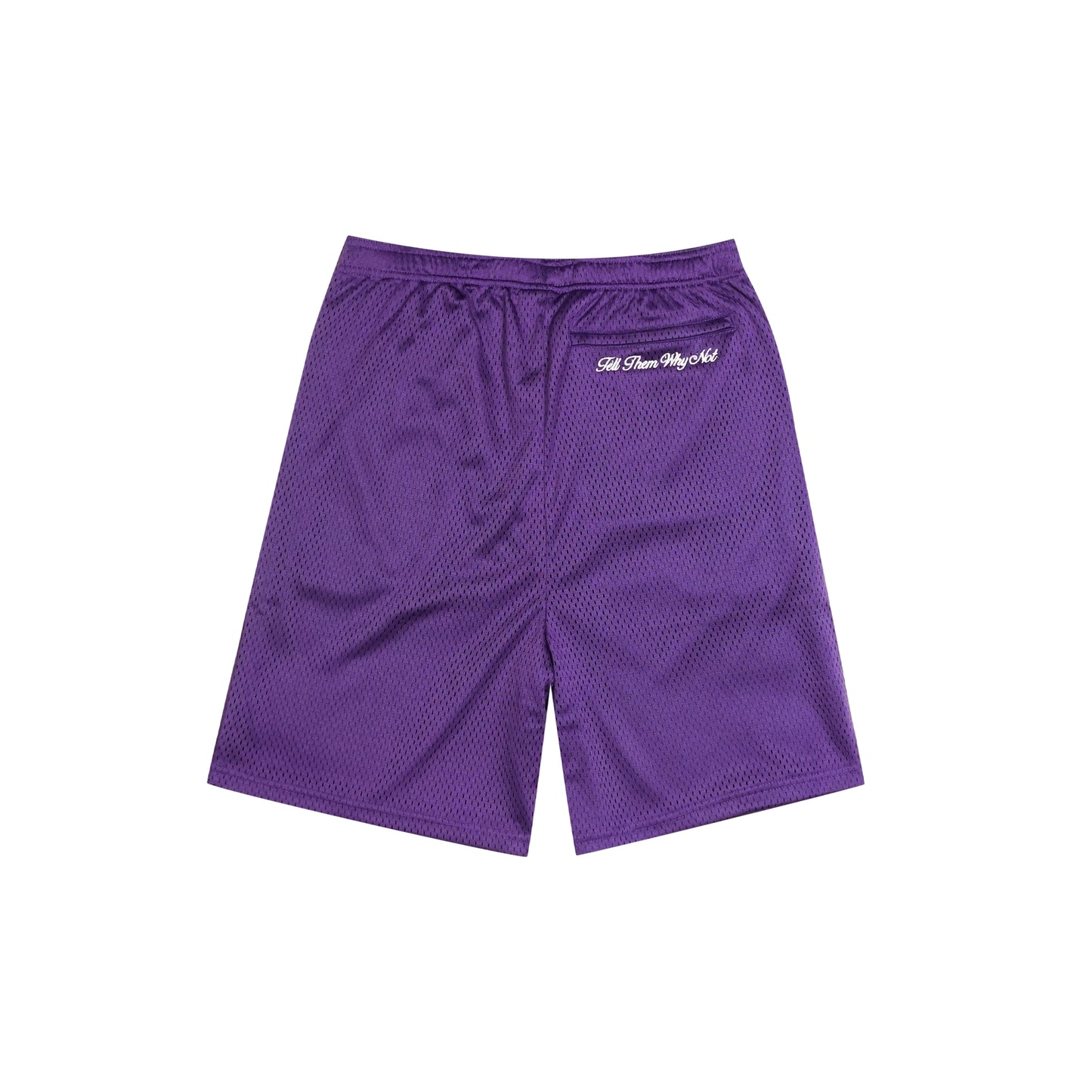 Purple mesh stickman shorts back view - Tell Them Why Not 