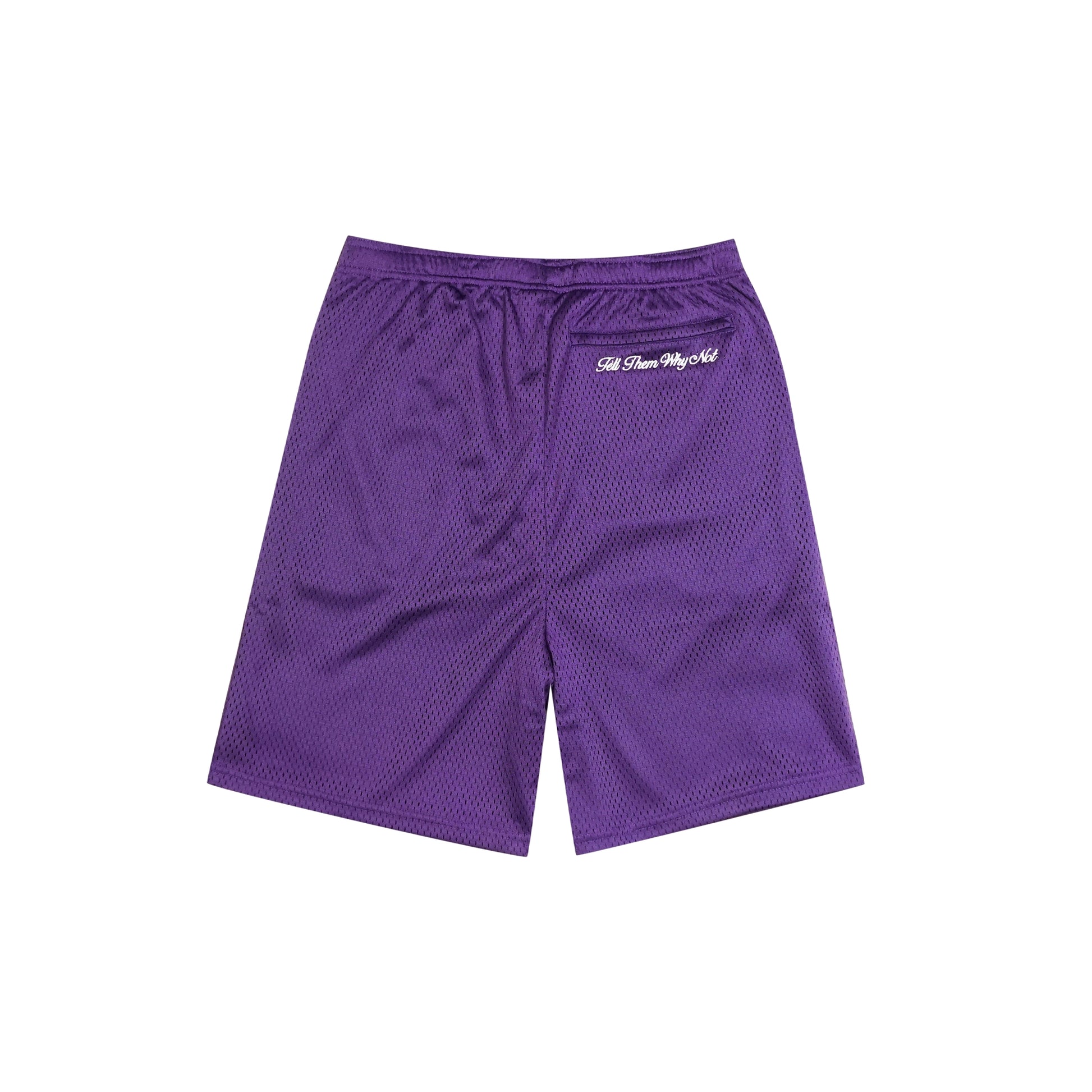 Purple mesh stickman shorts back view - Tell Them Why Not 
