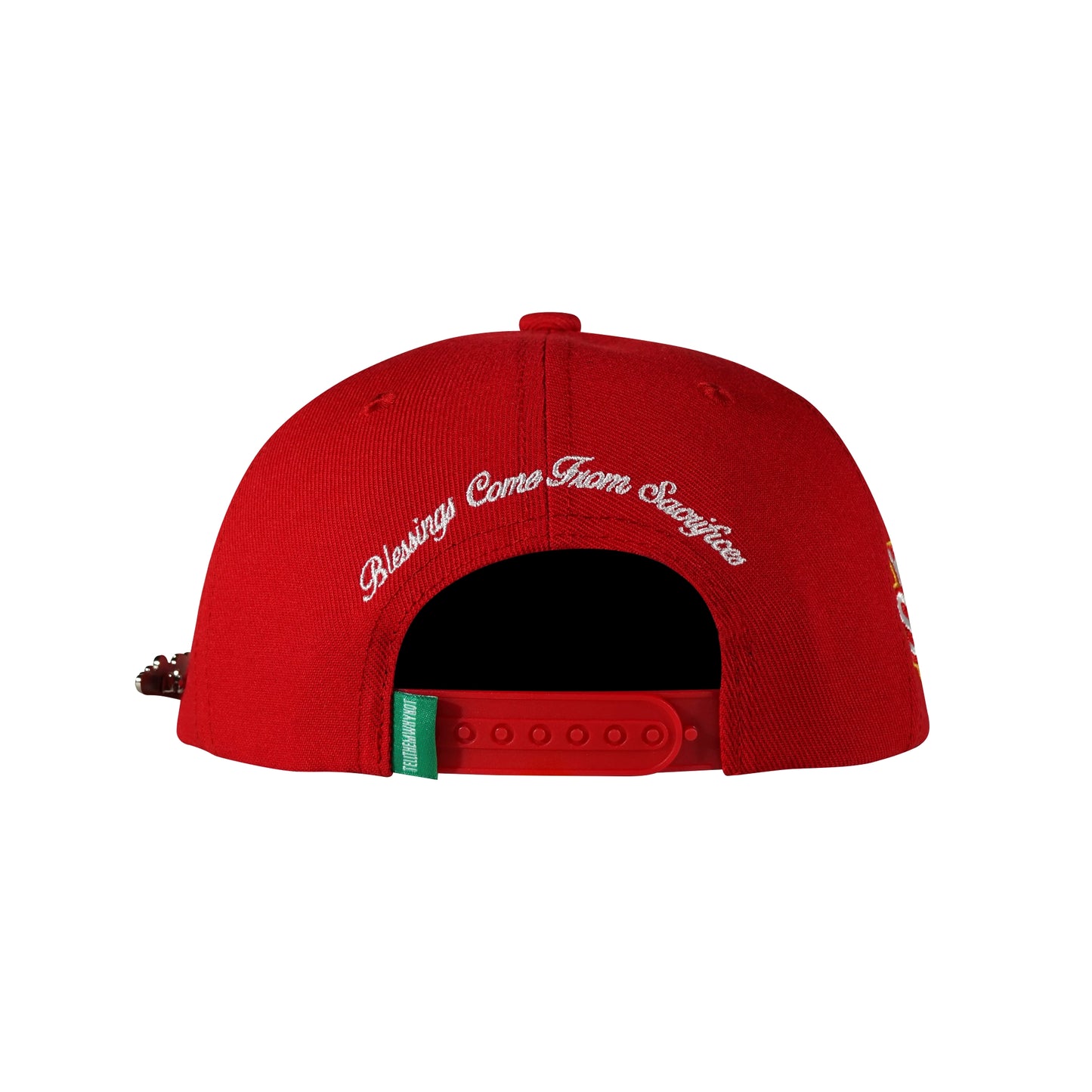 Red snapback cap with Whynot Series back view - tell them why not