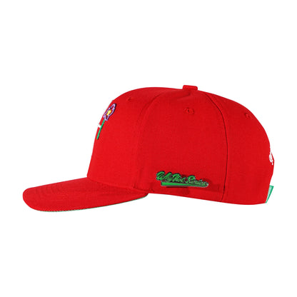 Red snapback cap left side view with Whynot Series pins - tell them why not